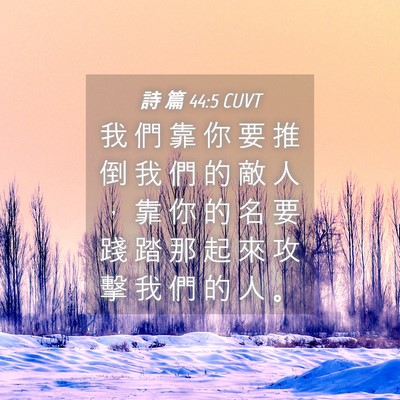 Picture 04 - 詩 篇 44:5 CUVT - 我 們 靠 你 要 推 倒 我 們 的 敵 人 - Bible Verse Picture