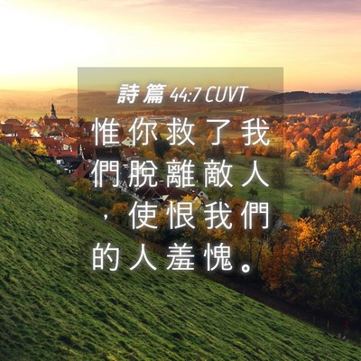 Picture 04 - 詩 篇 44:7 CUVT - 惟 你 救 了 我 們 脫 離 敵 人 ， 使 - Bible Verse Picture
