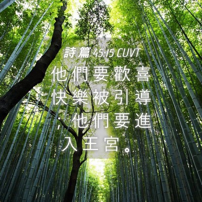Picture 04 - 詩 篇 45:15 CUVT - 他 們 要 歡 喜 快 樂 被 引 導 ； 他 - Bible Verse Picture