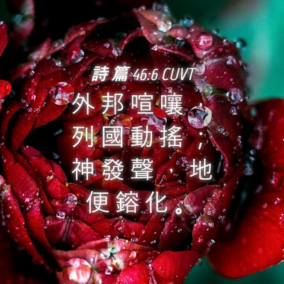 Picture 04 - 詩 篇 46:6 CUVT - 外 邦 喧 嚷 ， 列 國 動 搖 ； 神 發 - Bible Verse Picture