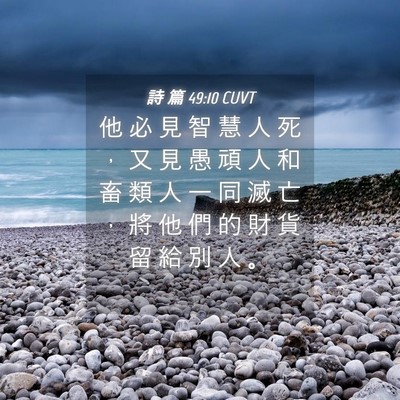Picture 04 - 詩 篇 49:10 CUVT - 他 必 見 智 慧 人 死 ， 又 見 愚 頑 - Bible Verse Picture