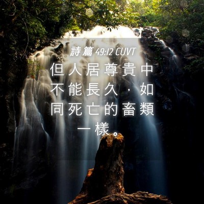 Picture 04 - 詩 篇 49:12 CUVT - 但 人 居 尊 貴 中 不 能 長 久 ， 如 - Bible Verse Picture