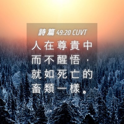 Picture 04 - 詩 篇 49:20 CUVT - 人 在 尊 貴 中 而 不 醒 悟 ， 就 如 - Bible Verse Picture