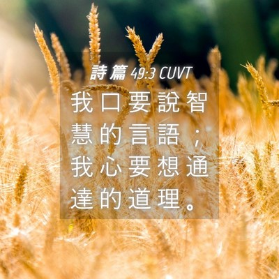 Picture 04 - 詩 篇 49:3 CUVT - 我 口 要 說 智 慧 的 言 語 ； 我 心 - Bible Verse Picture