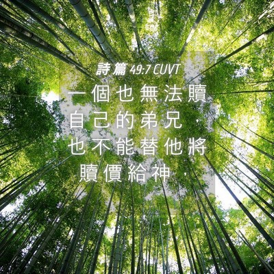Picture 04 - 詩 篇 49:7 CUVT - 一 個 也 無 法 贖 自 己 的 弟 兄 ， - Bible Verse Picture