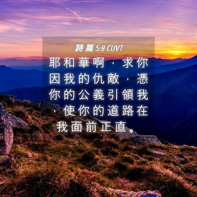 Picture 04 - 詩 篇 5:8 CUVT - 耶 和 華 啊 ， 求 你 因 我 的 仇 敵 - Bible Verse Picture