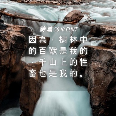 Picture 04 - 詩 篇 50:10 CUVT - 因 為 ， 樹 林 中 的 百 獸 是 我 的 - Bible Verse Picture