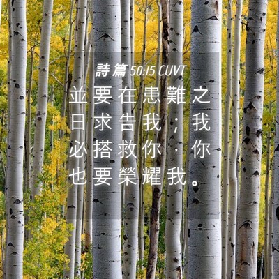 Picture 04 - 詩 篇 50:15 CUVT - 並 要 在 患 難 之 日 求 告 我 ； 我 - Bible Verse Picture