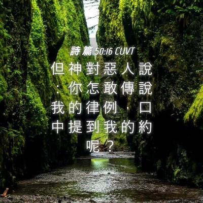 Picture 04 - 詩 篇 50:16 CUVT - 但 神 對 惡 人 說 ： 你 怎 敢 傳 說 - Bible Verse Picture