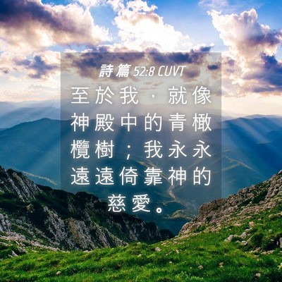 Picture 04 - 詩 篇 52:8 CUVT - 至 於 我 ， 就 像 神 殿 中 的 青 橄 - Bible Verse Picture