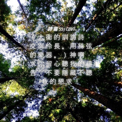 Picture 04 - 詩 篇 55:1 CUVT - （ 大 衛 的 訓 誨 詩 ， 交 與 伶 長 - Bible Verse Picture