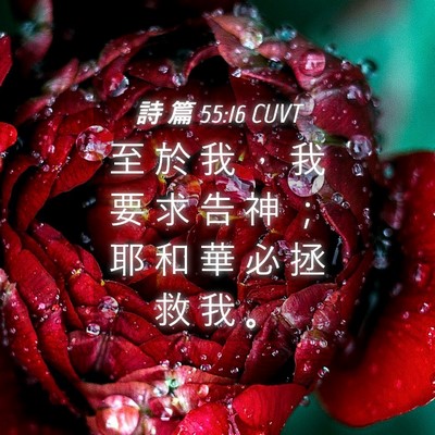 Picture 04 - 詩 篇 55:16 CUVT - 至 於 我 ， 我 要 求 告 神 ； 耶 和 - Bible Verse Picture