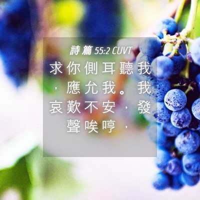 Picture 04 - 詩 篇 55:2 CUVT - 求 你 側 耳 聽 我 ， 應 允 我 。 我 - Bible Verse Picture