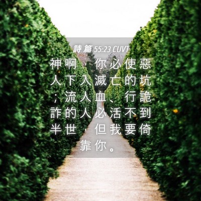 Picture 04 - 詩 篇 55:23 CUVT - 神 啊 ， 你 必 使 惡 人 下 入 滅 亡 - Bible Verse Picture