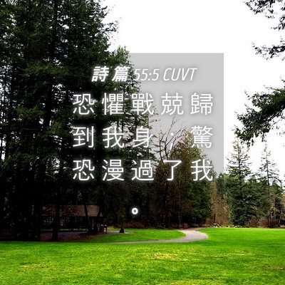 Picture 04 - 詩 篇 55:5 CUVT - 恐 懼 戰 兢 歸 到 我 身 ； 驚 恐 漫 - Bible Verse Picture