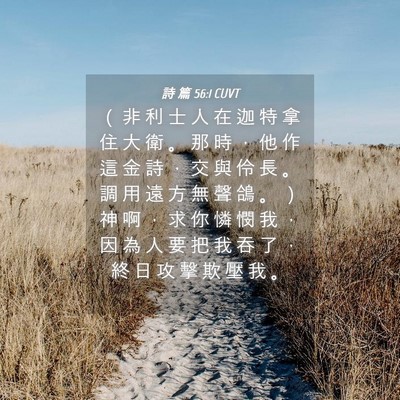 Picture 04 - 詩 篇 56:1 CUVT - （ 非 利 士 人 在 迦 特 拿 住 大 衛 - Bible Verse Picture