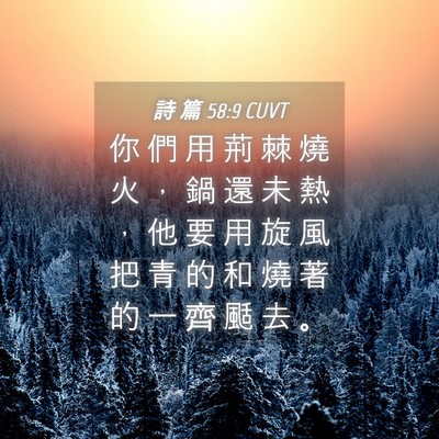 Picture 04 - 詩 篇 58:9 CUVT - 你 們 用 荊 棘 燒 火 ， 鍋 還 未 熱 - Bible Verse Picture