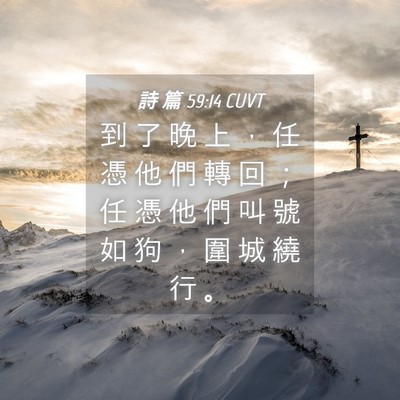 Picture 04 - 詩 篇 59:14 CUVT - 到 了 晚 上 ， 任 憑 他 們 轉 回 ； - Bible Verse Picture