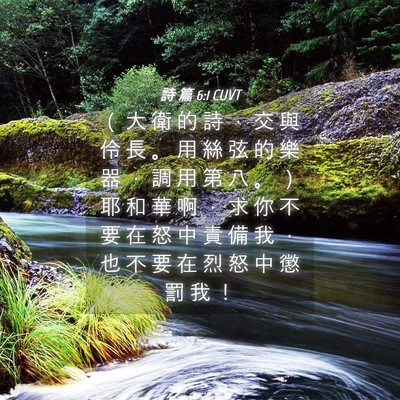 Picture 04 - 詩 篇 6:1 CUVT - （ 大 衛 的 詩 ， 交 與 伶 長 。 用 - Bible Verse Picture