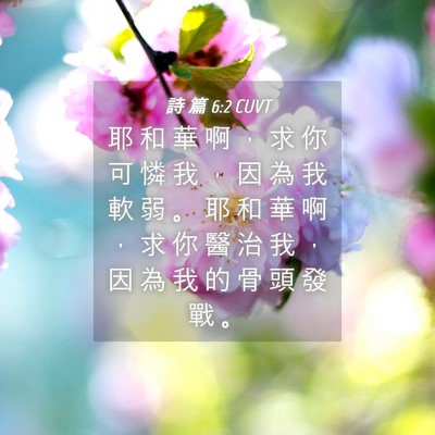 Picture 04 - 詩 篇 6:2 CUVT - 耶 和 華 啊 ， 求 你 可 憐 我 ， 因 - Bible Verse Picture