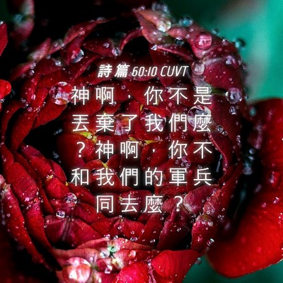 Picture 04 - 詩 篇 60:10 CUVT - 神 啊 ， 你 不 是 丟 棄 了 我 們 麼 - Bible Verse Picture