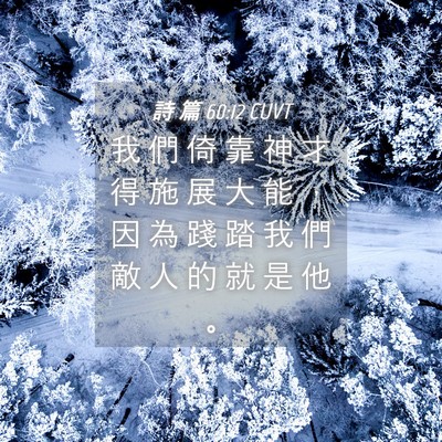 Picture 04 - 詩 篇 60:12 CUVT - 我 們 倚 靠 神 才 得 施 展 大 能 ， - Bible Verse Picture