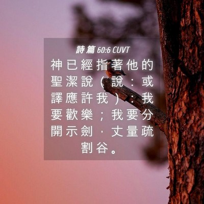 Picture 04 - 詩 篇 60:6 CUVT - 神 已 經 指 著 他 的 聖 潔 說 （ 說 - Bible Verse Picture