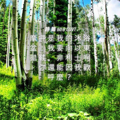 Picture 04 - 詩 篇 60:8 CUVT - 摩 押 是 我 的 沐 浴 盆 ； 我 要 向 - Bible Verse Picture