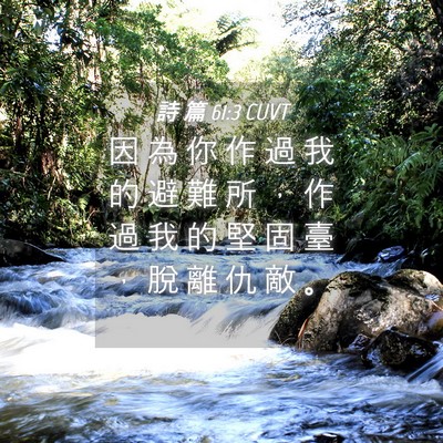 Picture 04 - 詩 篇 61:3 CUVT - 因 為 你 作 過 我 的 避 難 所 ， 作 - Bible Verse Picture