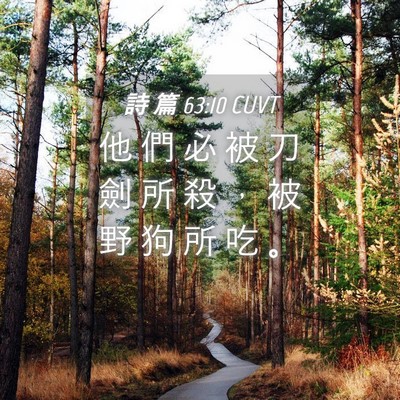 Picture 04 - 詩 篇 63:10 CUVT - 他 們 必 被 刀 劍 所 殺 ， 被 野 狗 - Bible Verse Picture