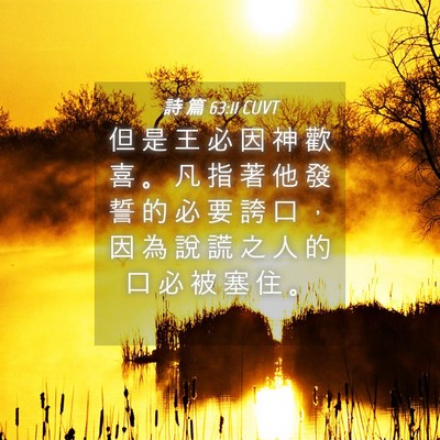 Picture 04 - 詩 篇 63:11 CUVT - 但 是 王 必 因 神 歡 喜 。 凡 指 著 - Bible Verse Picture