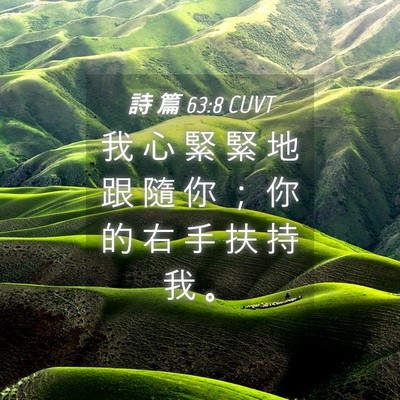 Picture 04 - 詩 篇 63:8 CUVT - 我 心 緊 緊 地 跟 隨 你 ； 你 的 右 - Bible Verse Picture