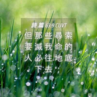 Picture 04 - 詩 篇 63:9 CUVT - 但 那 些 尋 索 要 滅 我 命 的 人 必 - Bible Verse Picture