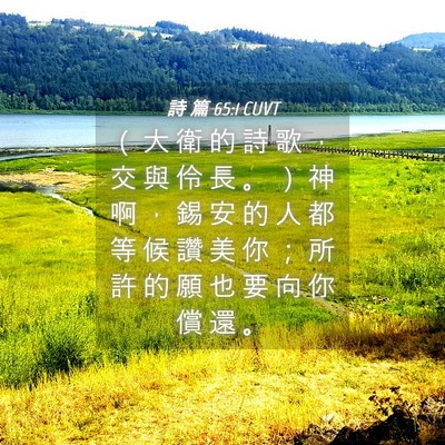 Picture 04 - 詩 篇 65:1 CUVT - （ 大 衛 的 詩 歌 ， 交 與 伶 長 。 - Bible Verse Picture