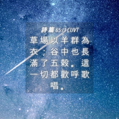 Picture 04 - 詩 篇 65:13 CUVT - 草 場 以 羊 群 為 衣 ； 谷 中 也 長 - Bible Verse Picture
