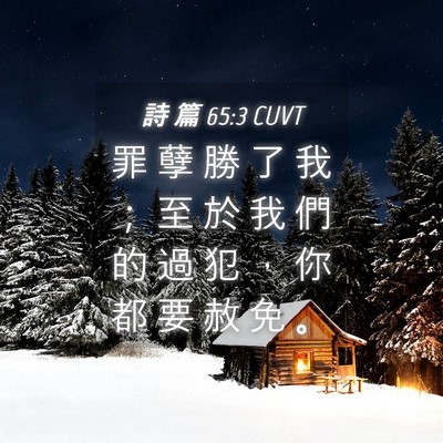 Picture 04 - 詩 篇 65:3 CUVT - 罪 孽 勝 了 我 ； 至 於 我 們 的 過 - Bible Verse Picture