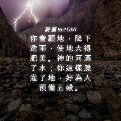 Picture 04 - 詩 篇 65:9 CUVT - 你 眷 顧 地 ， 降 下 透 雨 ， 使 地 - Bible Verse Picture