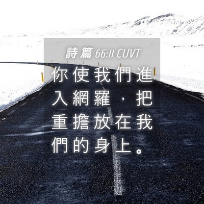 Picture 04 - 詩 篇 66:11 CUVT - 你 使 我 們 進 入 網 羅 ， 把 重 擔 - Bible Verse Picture