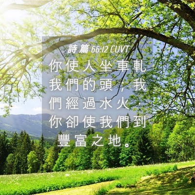 Picture 04 - 詩 篇 66:12 CUVT - 你 使 人 坐 車 軋 我 們 的 頭 ； 我 - Bible Verse Picture
