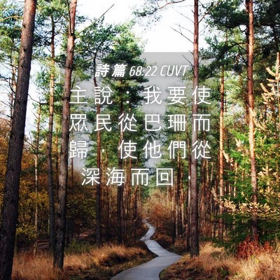 Picture 04 - 詩 篇 68:22 CUVT - 主 說 ： 我 要 使 眾 民 從 巴 珊 而 - Bible Verse Picture