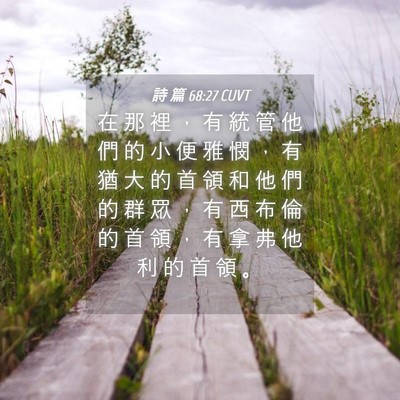 Picture 04 - 詩 篇 68:27 CUVT - 在 那 裡 ， 有 統 管 他 們 的 小 便 - Bible Verse Picture