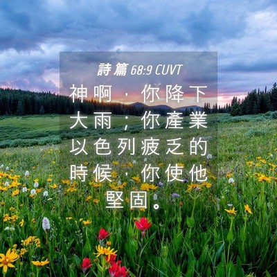 Picture 04 - 詩 篇 68:9 CUVT - 神 啊 ， 你 降 下 大 雨 ； 你 產 業 - Bible Verse Picture
