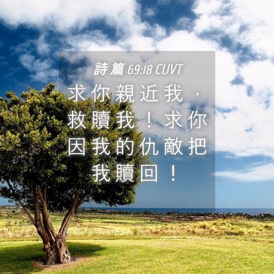Picture 04 - 詩 篇 69:18 CUVT - 求 你 親 近 我 ， 救 贖 我 ！ 求 你 - Bible Verse Picture