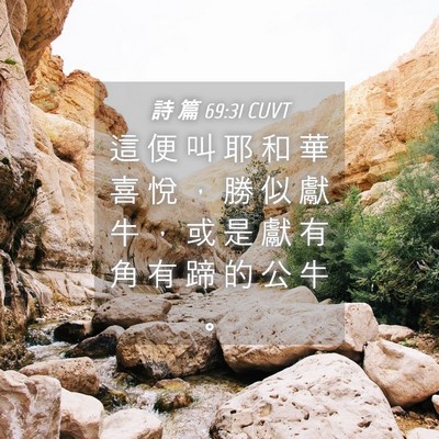Picture 04 - 詩 篇 69:31 CUVT - 這 便 叫 耶 和 華 喜 悅 ， 勝 似 獻 - Bible Verse Picture
