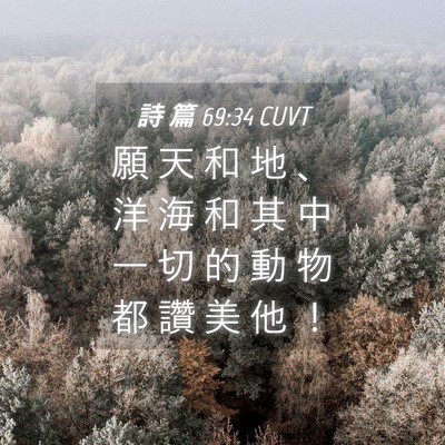 Picture 04 - 詩 篇 69:34 CUVT - 願 天 和 地 、 洋 海 和 其 中 一 切 - Bible Verse Picture