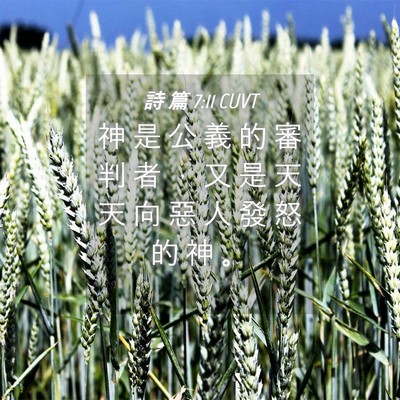 Picture 04 - 詩 篇 7:11 CUVT - 神 是 公 義 的 審 判 者 ， 又 是 天 - Bible Verse Picture