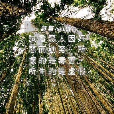 Picture 04 - 詩 篇 7:14 CUVT - 試 看 惡 人 因 奸 惡 而 劬 勞 ， 所 - Bible Verse Picture