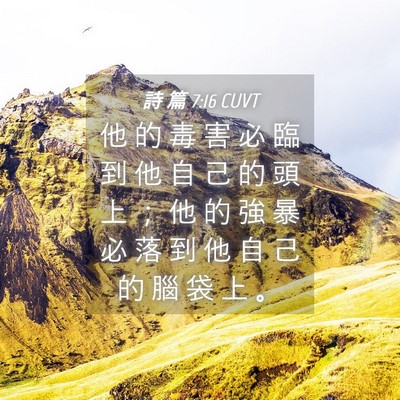 Picture 04 - 詩 篇 7:16 CUVT - 他 的 毒 害 必 臨 到 他 自 己 的 頭 - Bible Verse Picture