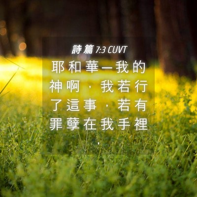 Picture 04 - 詩 篇 7:3 CUVT - 耶 和 華 ─ 我 的 神 啊 ， 我 若 行 - Bible Verse Picture
