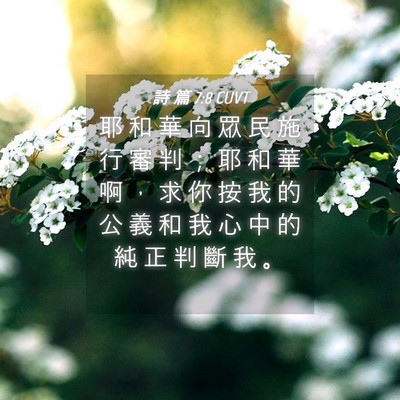 Picture 04 - 詩 篇 7:8 CUVT - 耶 和 華 向 眾 民 施 行 審 判 ； 耶 - Bible Verse Picture